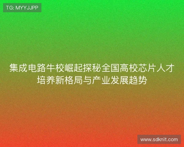 集成电路牛校崛起探秘全国高校芯片人才培养新格局与产业发展趋势